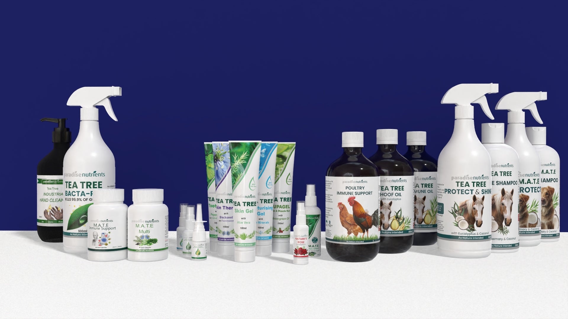 Tea Tree Products