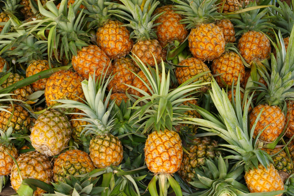 Paradise Nutrients