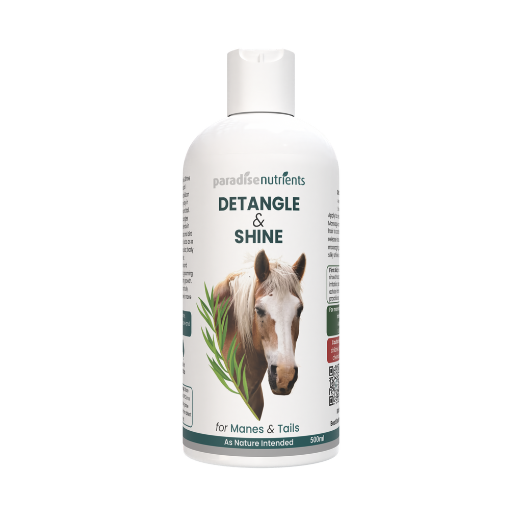 Detangle and Shine