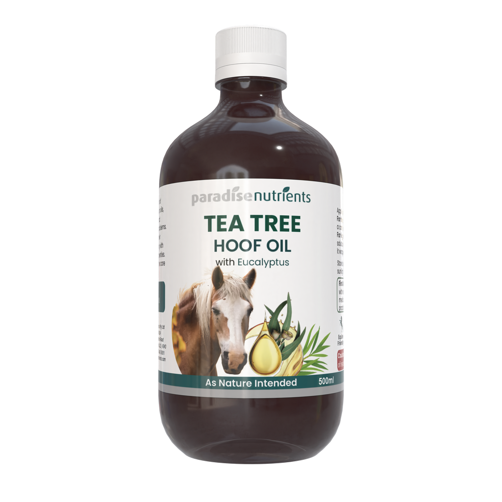 Tea Tree Hoof Oil