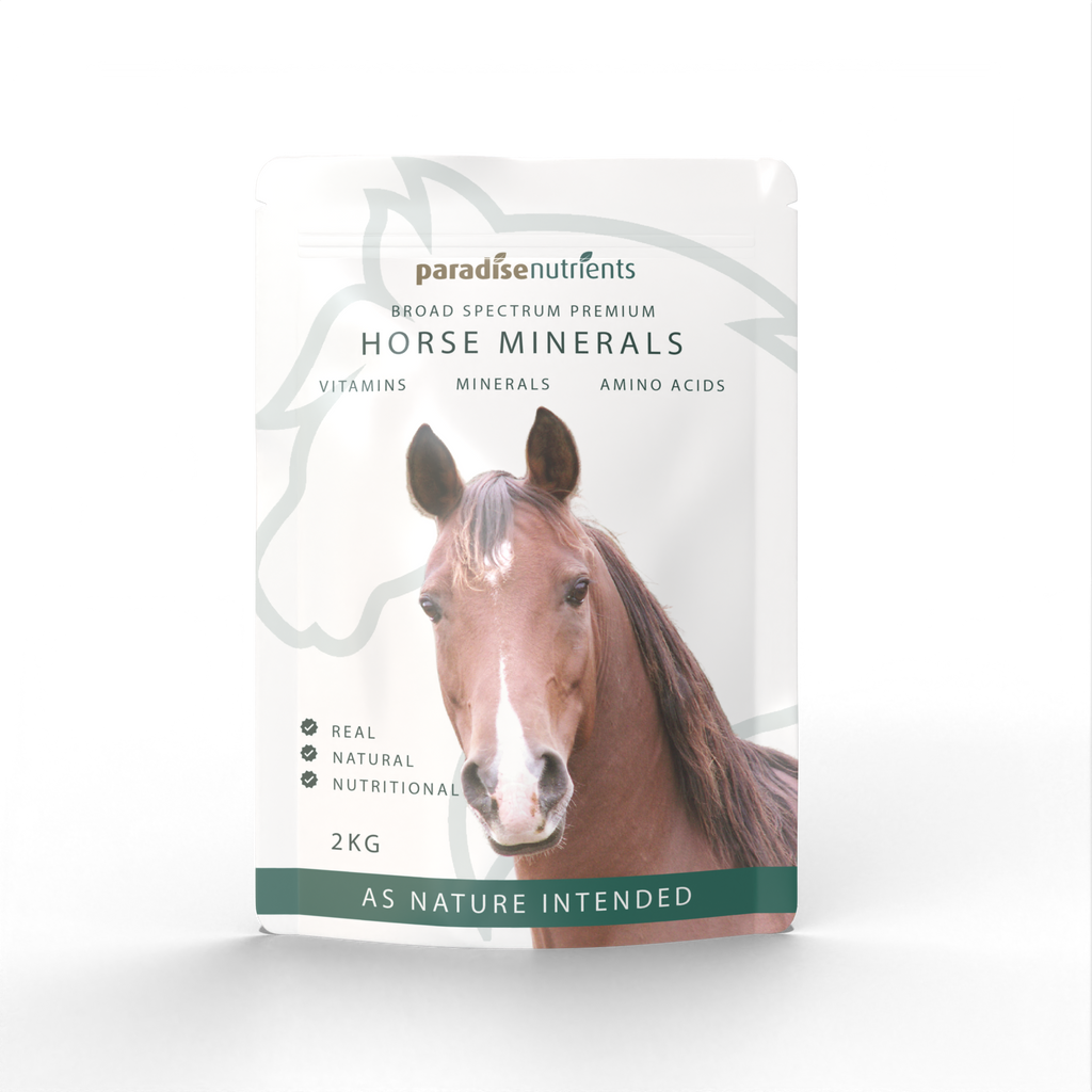 Premium Horse Minerals