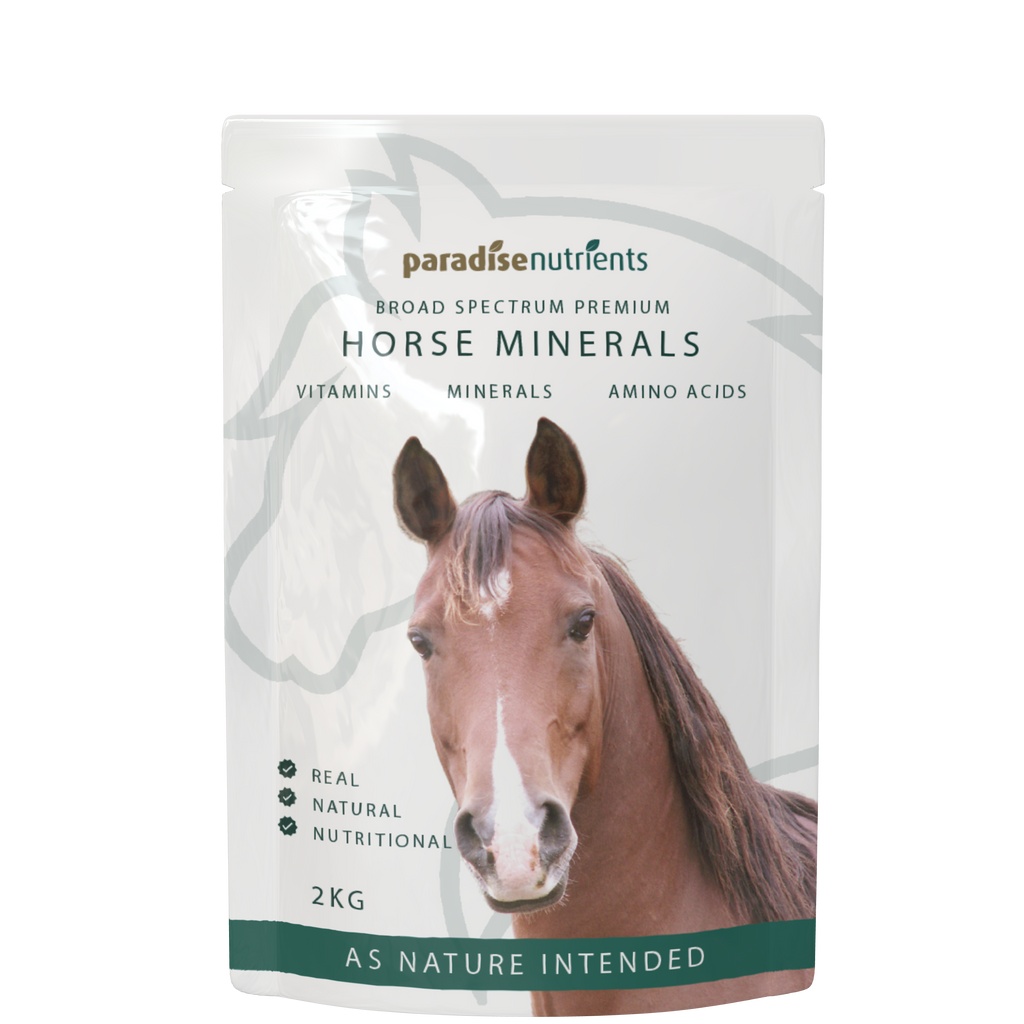 Premium Horse Minerals