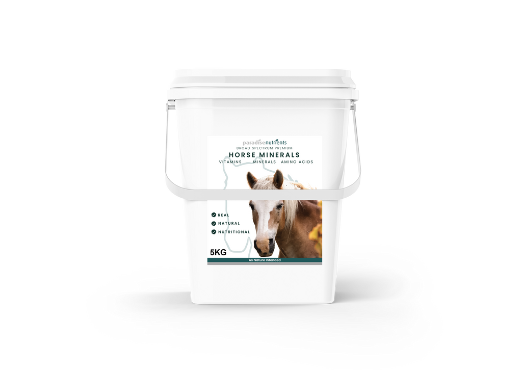 Premium Horse Minerals