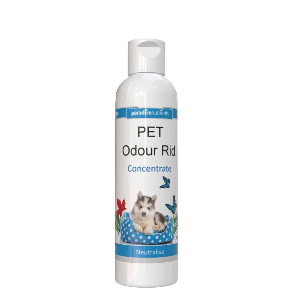 Pet Odour Rid Concentrate