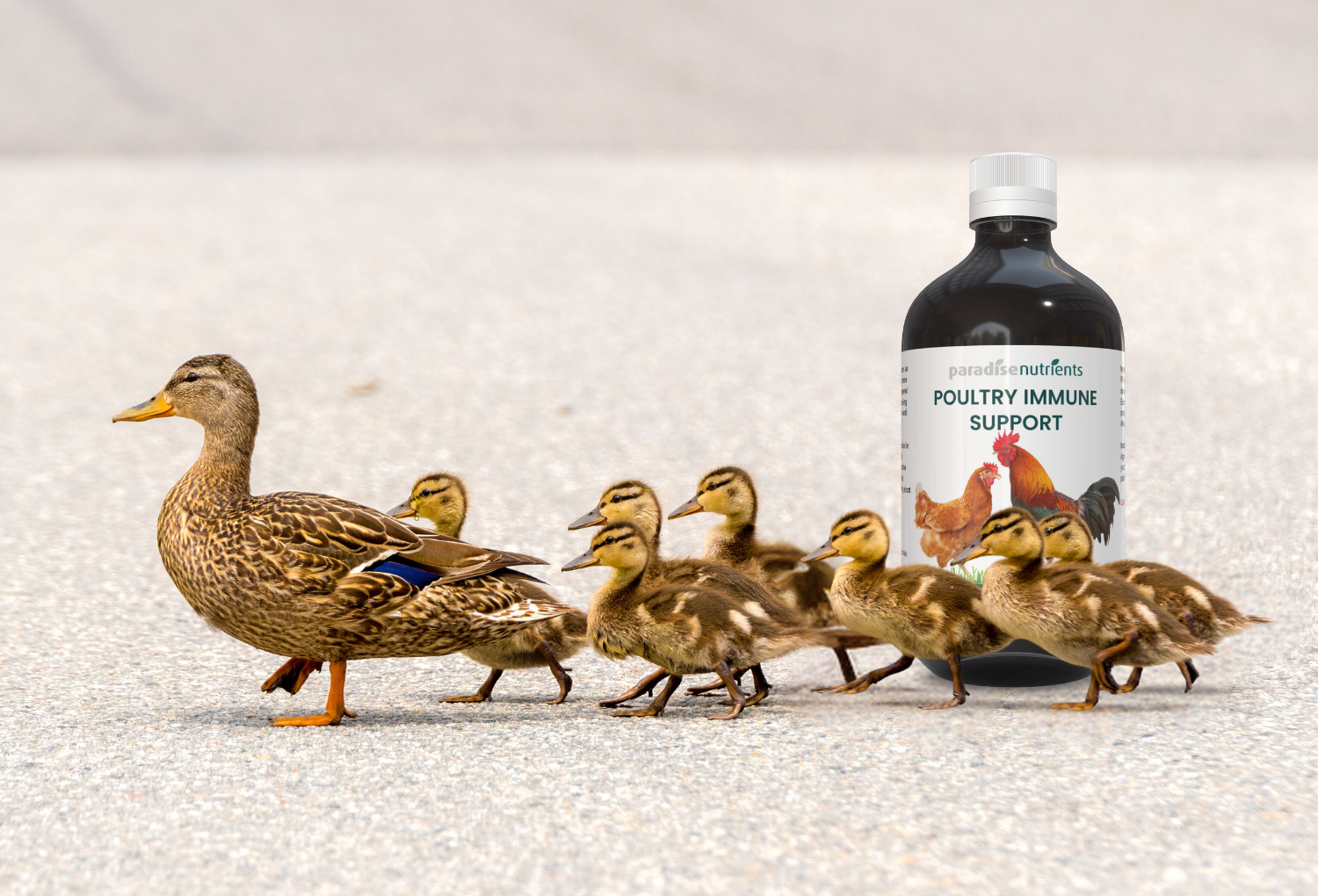 Paradise Nutrients
