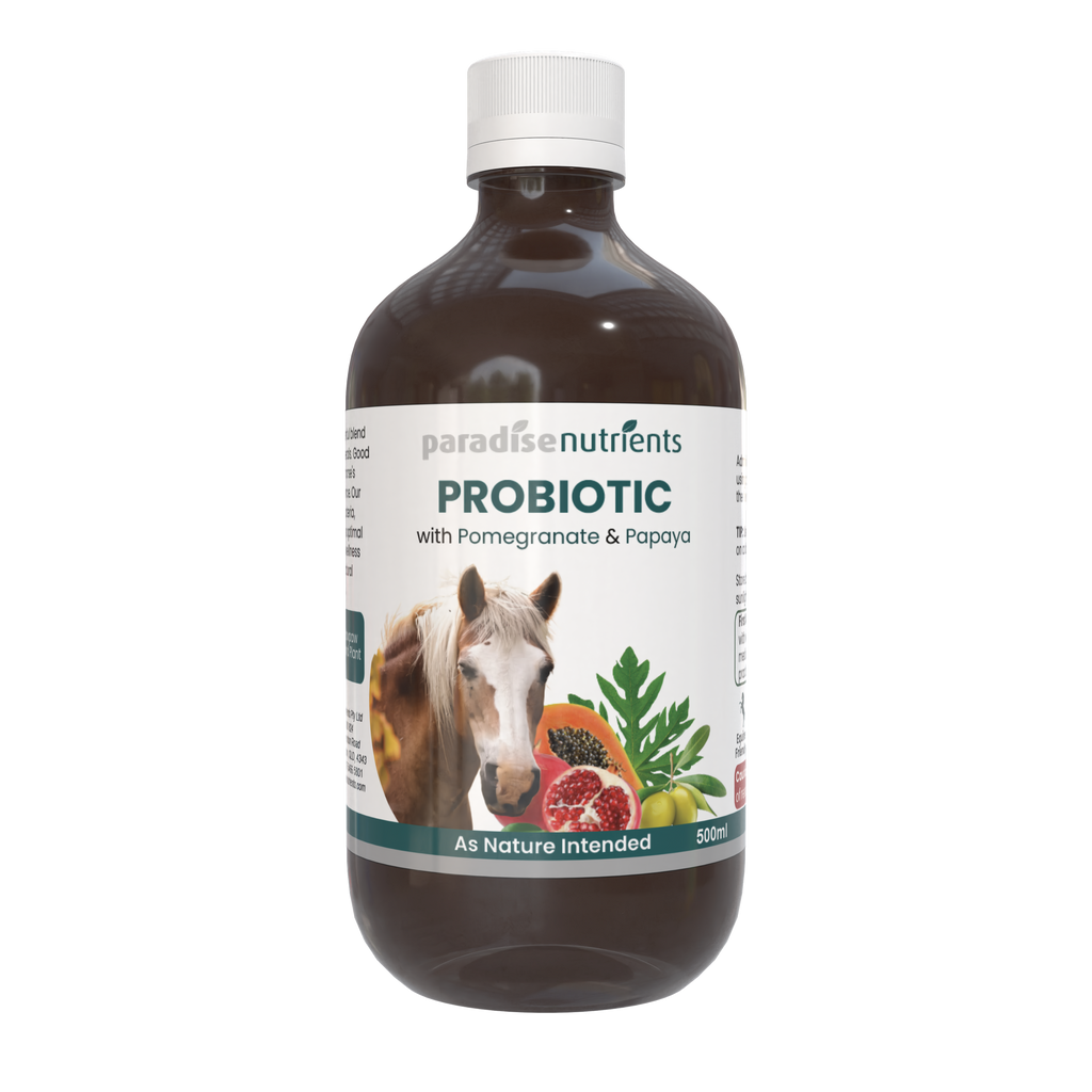 Horse Probiotic Tonic