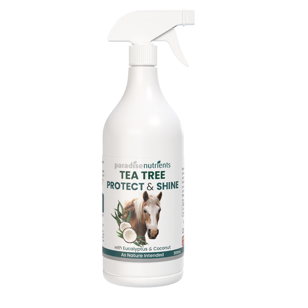 Tea Tree Protect & Shine